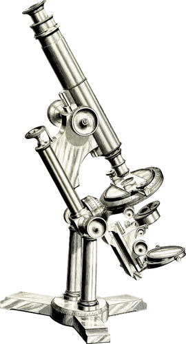 270x500 Microscope Drawing - Microscope Drawing