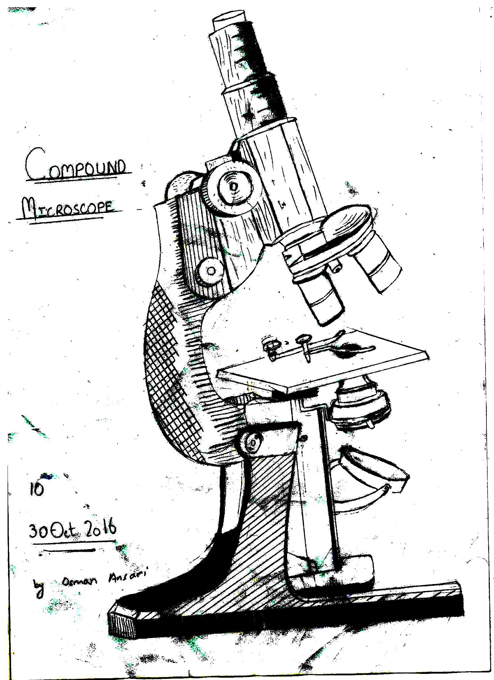 Microscope Drawing at Explore collection of