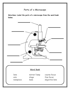 Microscope Drawing And Label at PaintingValley.com | Explore collection ...