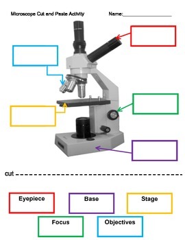 Microscope Drawing And Label at PaintingValley.com | Explore collection ...