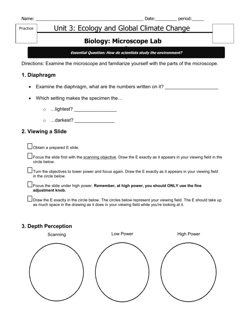 791x1024 Light Microscope Lab - Microscope Drawing Circles