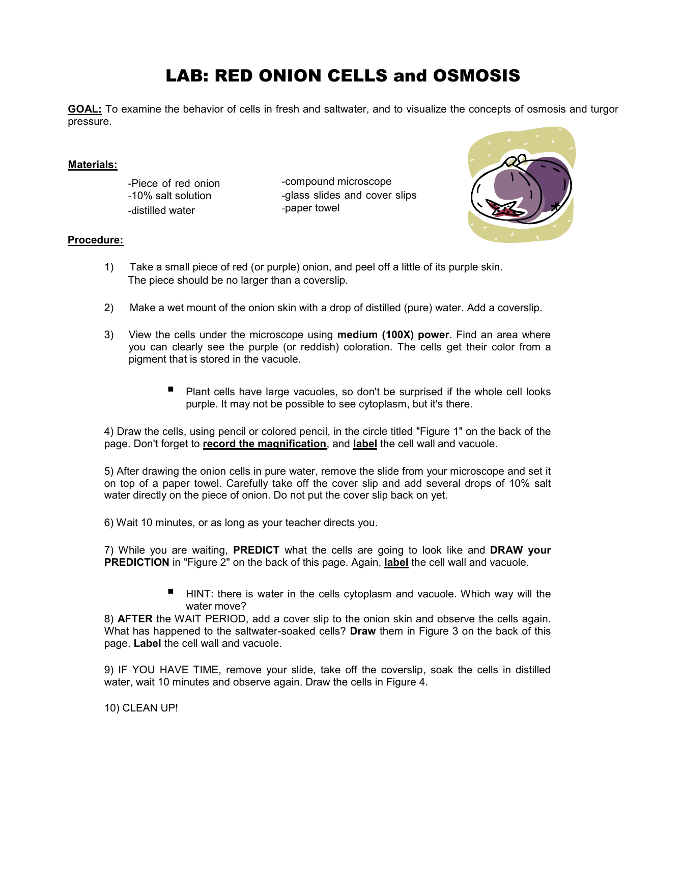 Microscope Drawing Circles at Explore collection of Microscope Drawing Circles