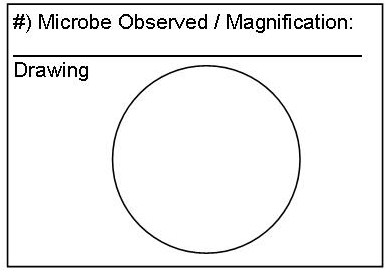 392x276 Thomasthinktank - Microscope Drawing Circles