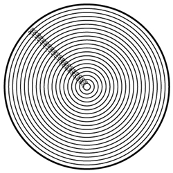 250x250 Concentric Circle Mitutoyo Reticle - Microscope Drawing Circles