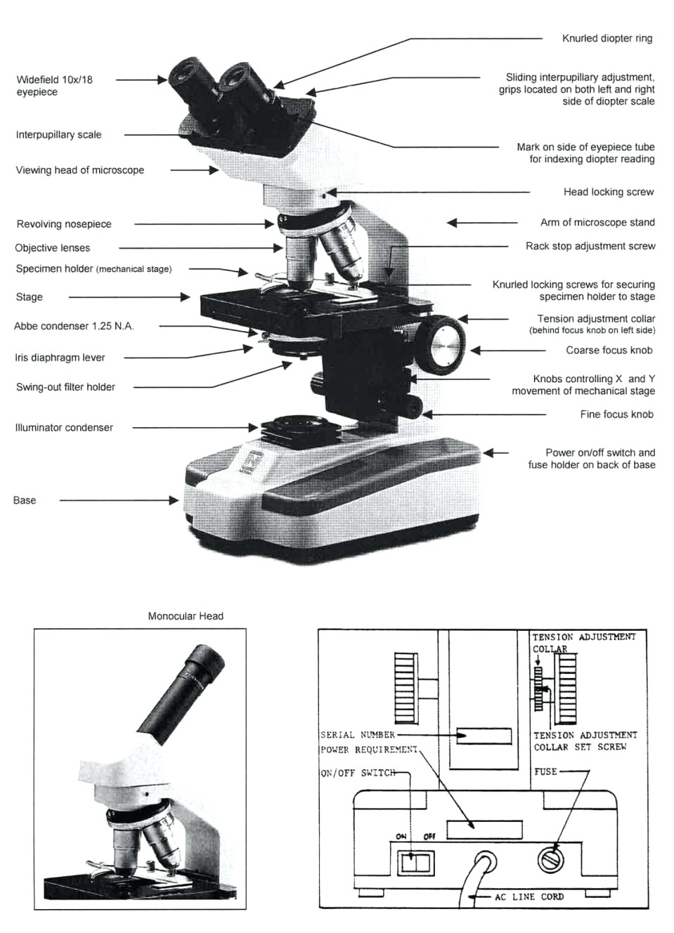 Microscope Lab Worksheet Answers - Worksheet List