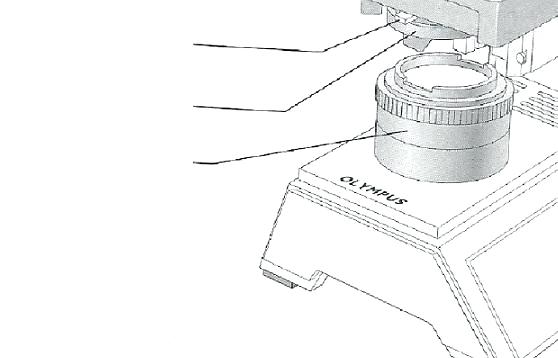 558x358 Microscope Parts Worksheet Of Label On Concept Blank Diagram - Microscope Drawing Worksheet