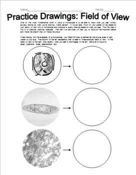 272x350 Microscope Practice Drawings - Microscope Drawing Worksheet
