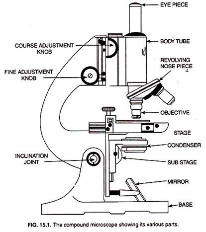 414x467 Diagram Of A Compound Microscope - Microscope Easy Drawing