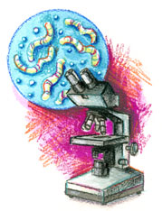 179x234 Microscope Drawing How To Sketch Microscope Slides - Microscope Easy Drawing