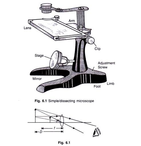 493x509 Important Types Of Microscopes Used In Biology - Microscope Easy Drawing