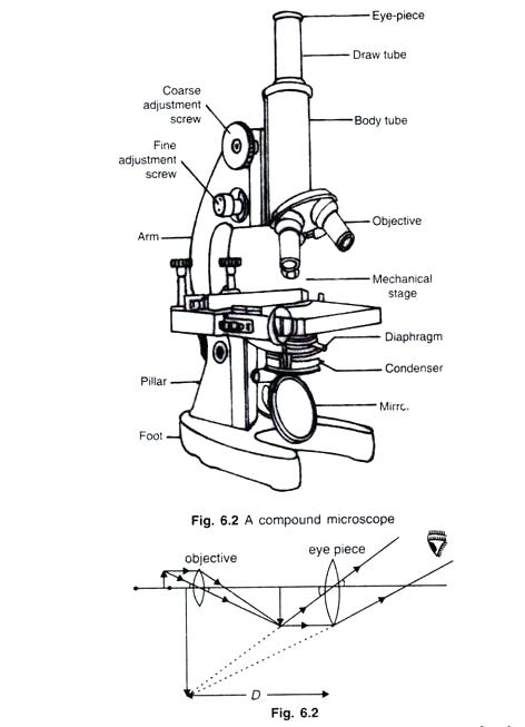 Microscope Easy Drawing at PaintingValley.com | Explore collection of ...