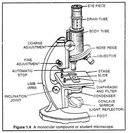 Microscope Parts Drawing at PaintingValley.com | Explore collection of ...