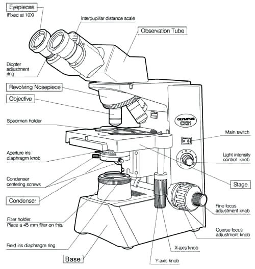 Microscope Parts Drawing at PaintingValley.com | Explore collection of ...