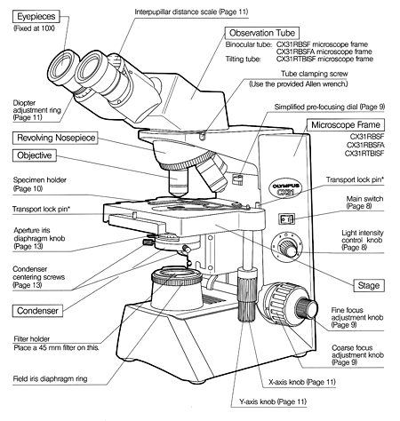450x474 The Microscope - Microscope Parts Drawing