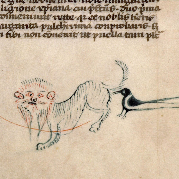 600x600 ugly cat art from the middle ages proves they had no idea how - Middle Ages Drawings