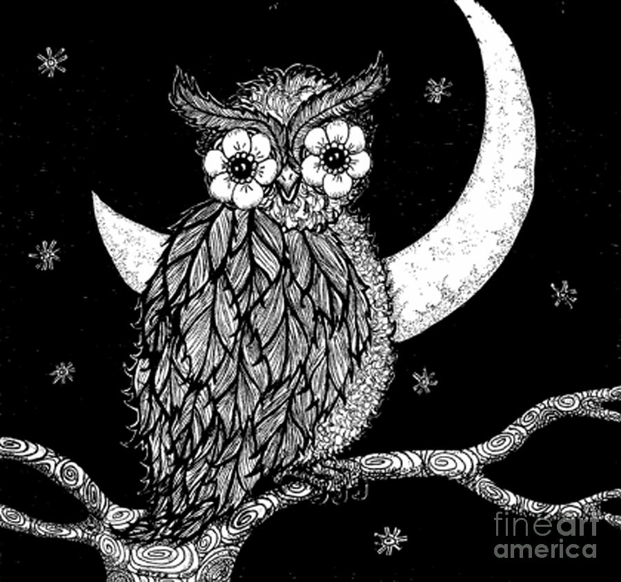 900x844 midnight owl drawing - Midnight Drawing