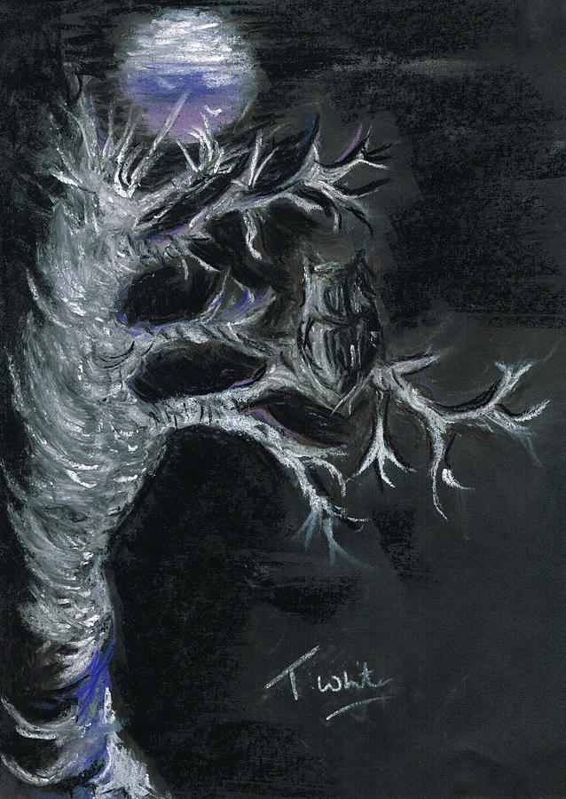 638x900 midnight owl drawing - Midnight Drawing