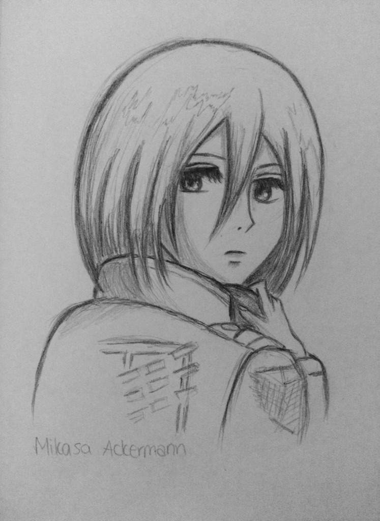 Mikasa Drawing at PaintingValley.com | Explore collection of Mikasa Drawing