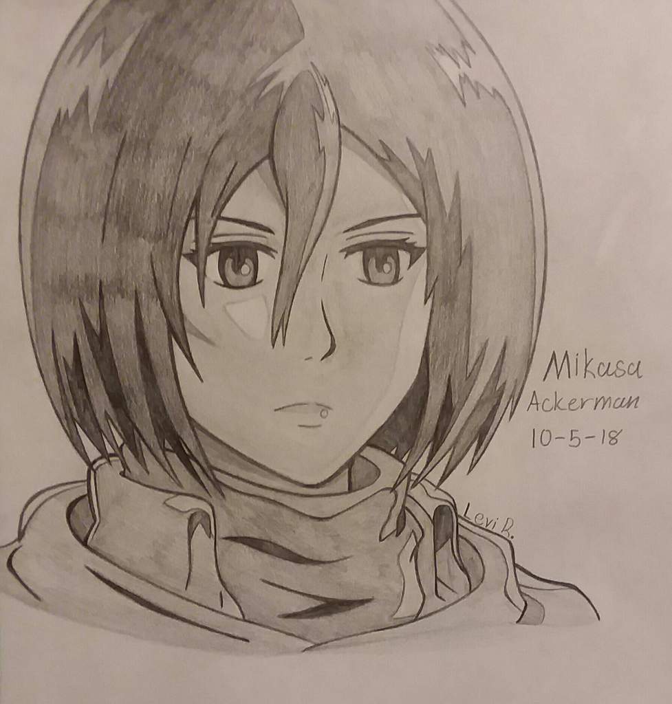 Mikasa Drawing at PaintingValley.com | Explore collection of Mikasa Drawing