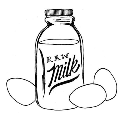 500x500 early bird cookery meal delivery products eggs local milk - Milk Drawing