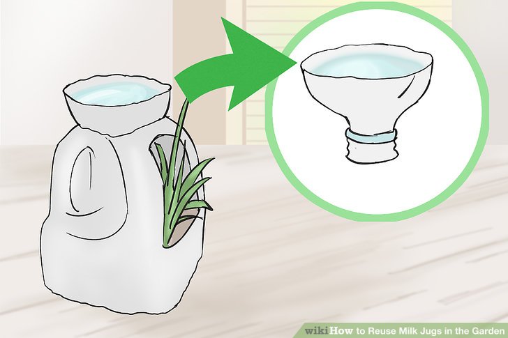 728x485 ways to reuse milk jugs in the garden - Milk Jug Drawing