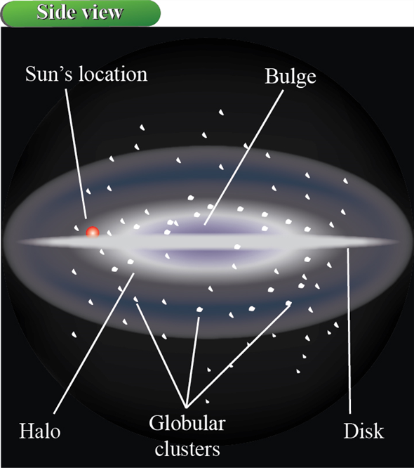 590x666 solved draw a sketch of the milky way galaxy and label its maj - Milky Way Galaxy Drawing