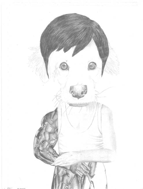 495x650 million dollar drawing - Million Dollar Drawing