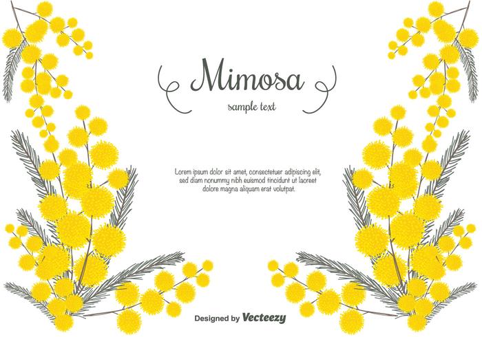 700x490 hand drawn mimosa vector background - Mimosa Drawing