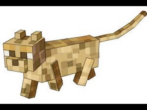 480x360 How To Draw An Ocelot From Minecraft - Minecraft Cat Drawing