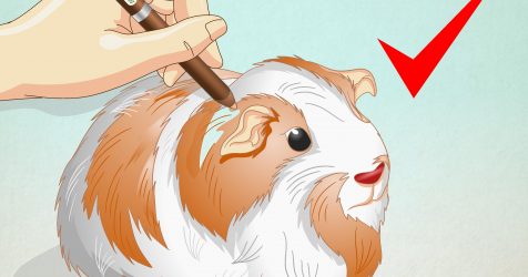 476x250 How To Draw A Minecraft Pig Face Faces On Balloons Song An Easy - Minecraft Pig Drawing