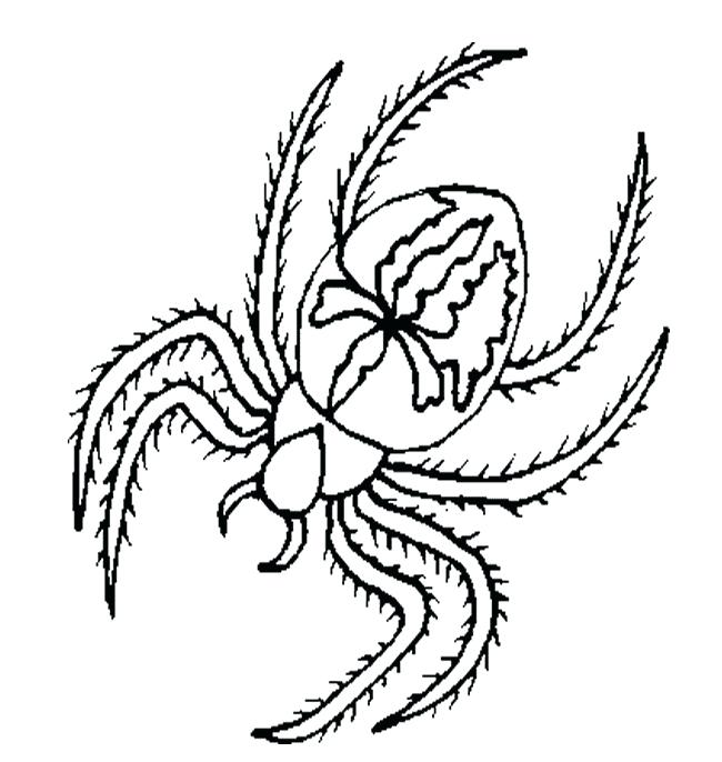 650x686 minecraft spider coloring pages spider shape template spider shape - Minecraft Spider Drawing