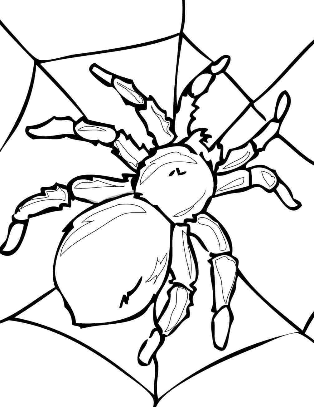 1007x1304 rhcouk draw how to draw minecraft spider all - Minecraft Spider Drawing