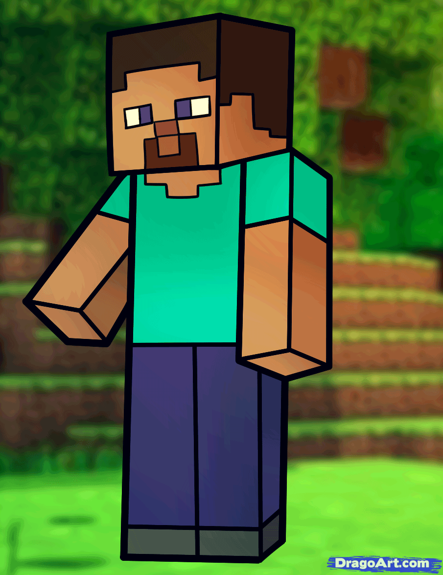 905x1174 How To Draw Steve From Minecraft, Minecraft Steve, Step - Minecraft Steve Drawing