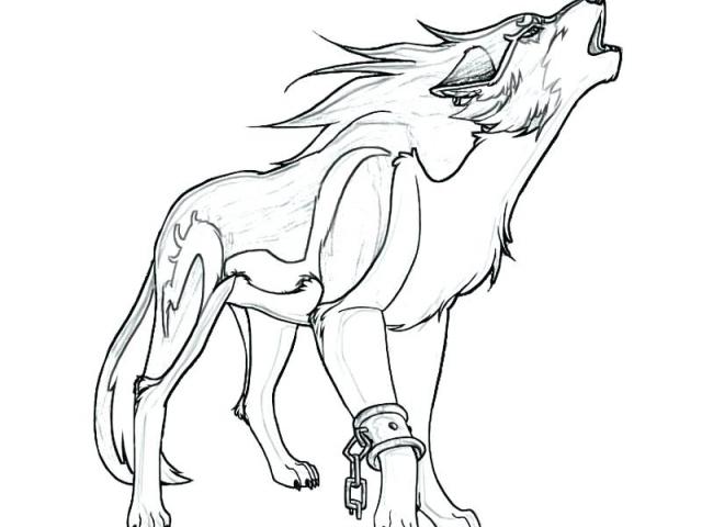 640x480 Drawn Wolf Minecraft - Minecraft Wolf Drawing