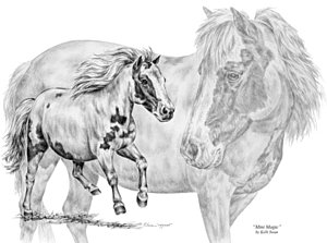 300x223 mini horse drawings fine art america - Mini Drawings