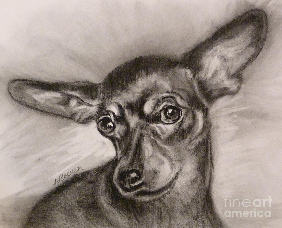 900x730 Miniature Pinscher Painting - Miniature Pinscher Drawing