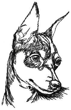 236x367 How To Draw A Miniature Pinscher, Min Pin Budding Artist - Miniature Pinscher Drawing