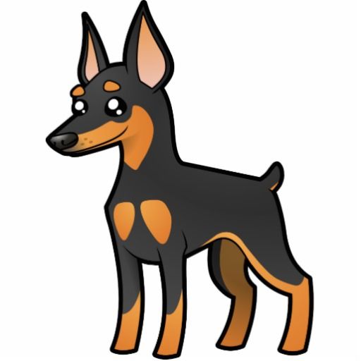 512x512 Min Pin Cartoon Pinscher Diminuto Dos Desenhos Animados - Miniature Pinscher Drawing