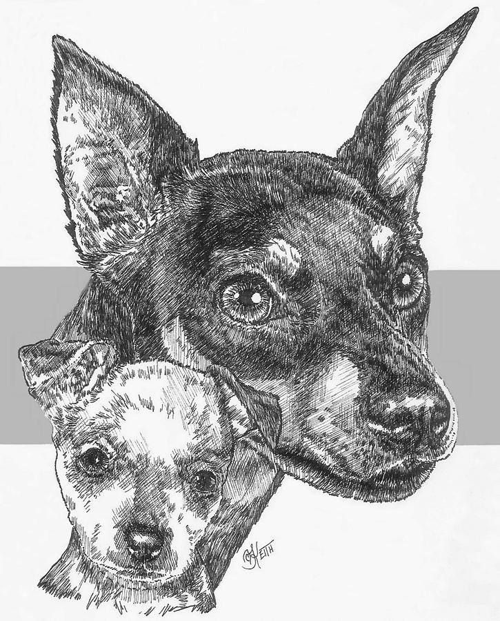 725x900 another miniature pinscher and pup drawing - Miniature Pinscher Drawing