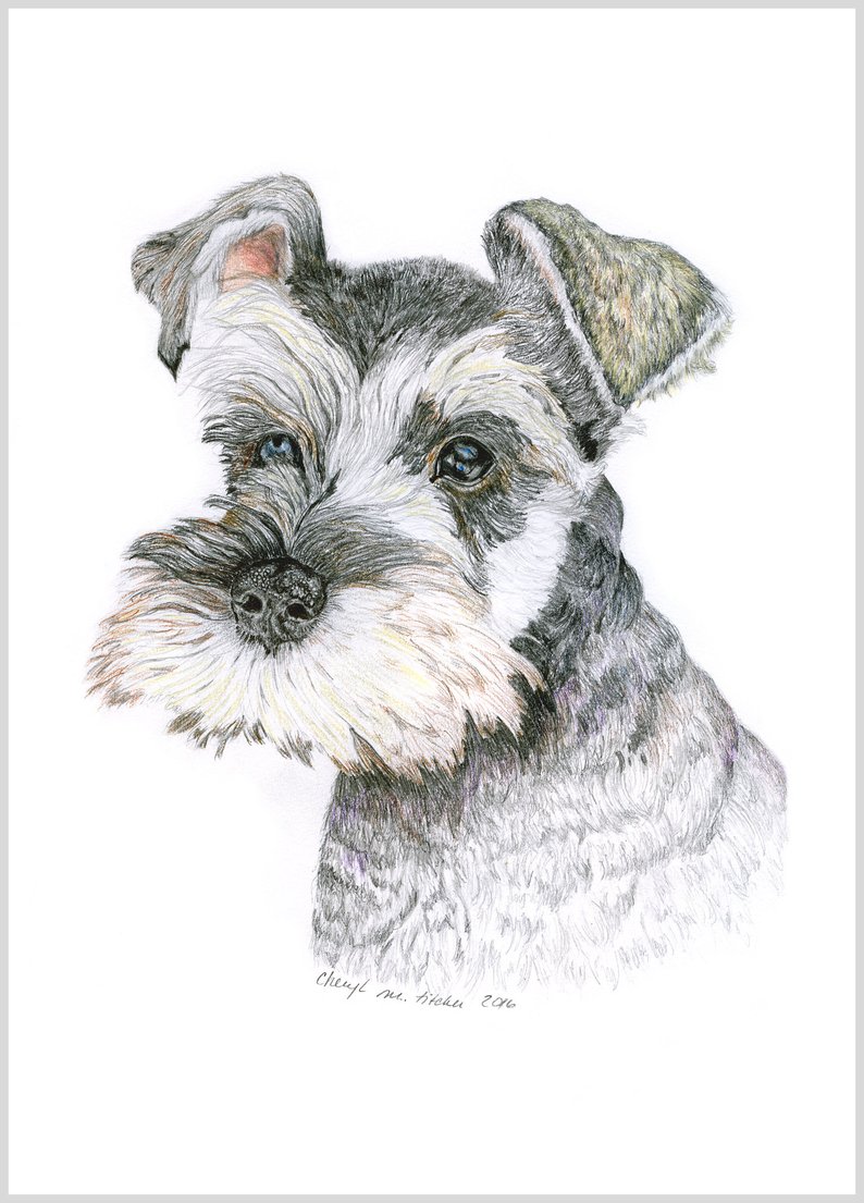 Schnauzer paintings search result at