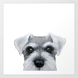 264x264 Schnauzer Art Prints - Miniature Schnauzer Drawing