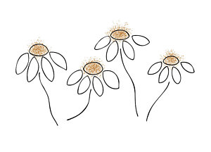 300x216 chamomile painting - Minimalist Drawings