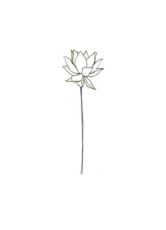 flower minimalist drawing