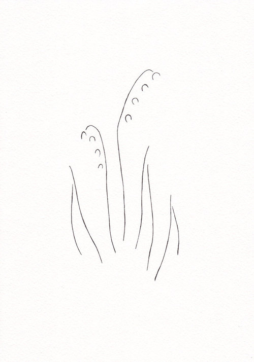 500x714 minimalist flower drawing shared - Minimalist Flower Drawing