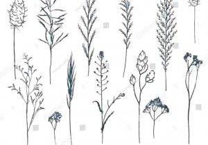 300x210 simple minimalist flower drawing - Minimalist Flower Drawing