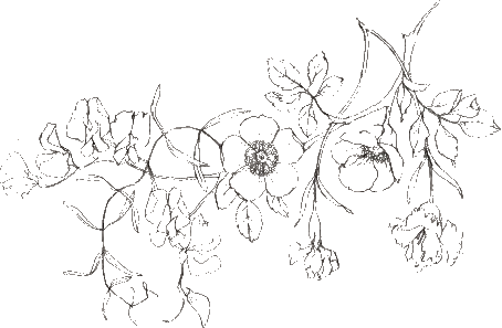 454x297 collection of free flower drawing minimalist download on ui ex - Minimalist Flower Drawing