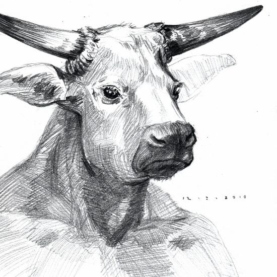 550x550 minotaur - Minotaur Drawing