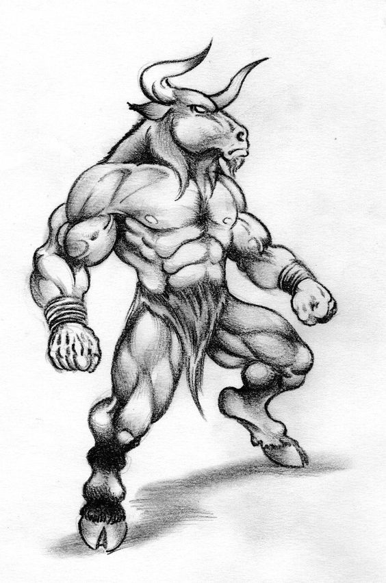 564x851 minotaur mythology drawings - Minotaur Drawing