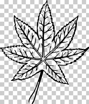 310x360 free download leaf line art drawing, mint leaf png clipart - Mint Leaf Drawing