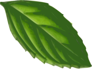 297x225 mint leaf clip art - Mint Leaf Drawing